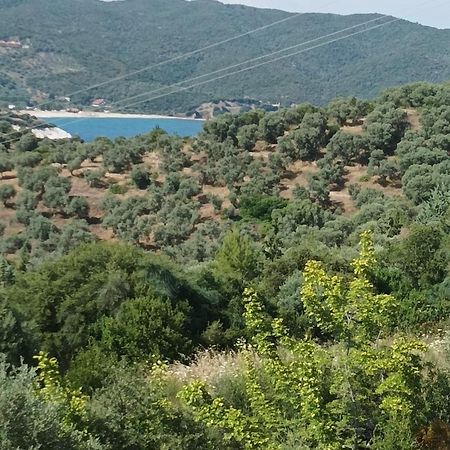 Art Hotel Panorama Pyrgadikia Exteriér fotografie