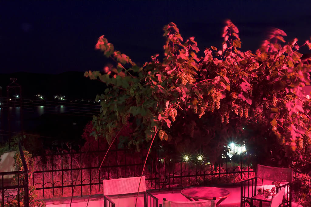 Art Hotel Panorama Pyrgadikia Exteriér fotografie